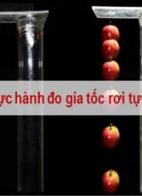 Bài giảng Vật lí Lớp 10 (Sách Chân trời sáng tạo) - Bài 8 Thực hành đo gia tốc rơi tự do - Năm học 2022-2023